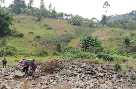 The fish team sampling at the base of the Nyungwe Mountains